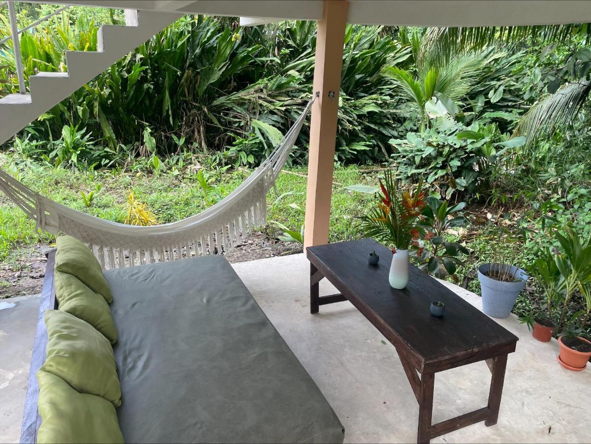 Casa Jaguar Tortuguero 빌라 외부 사진