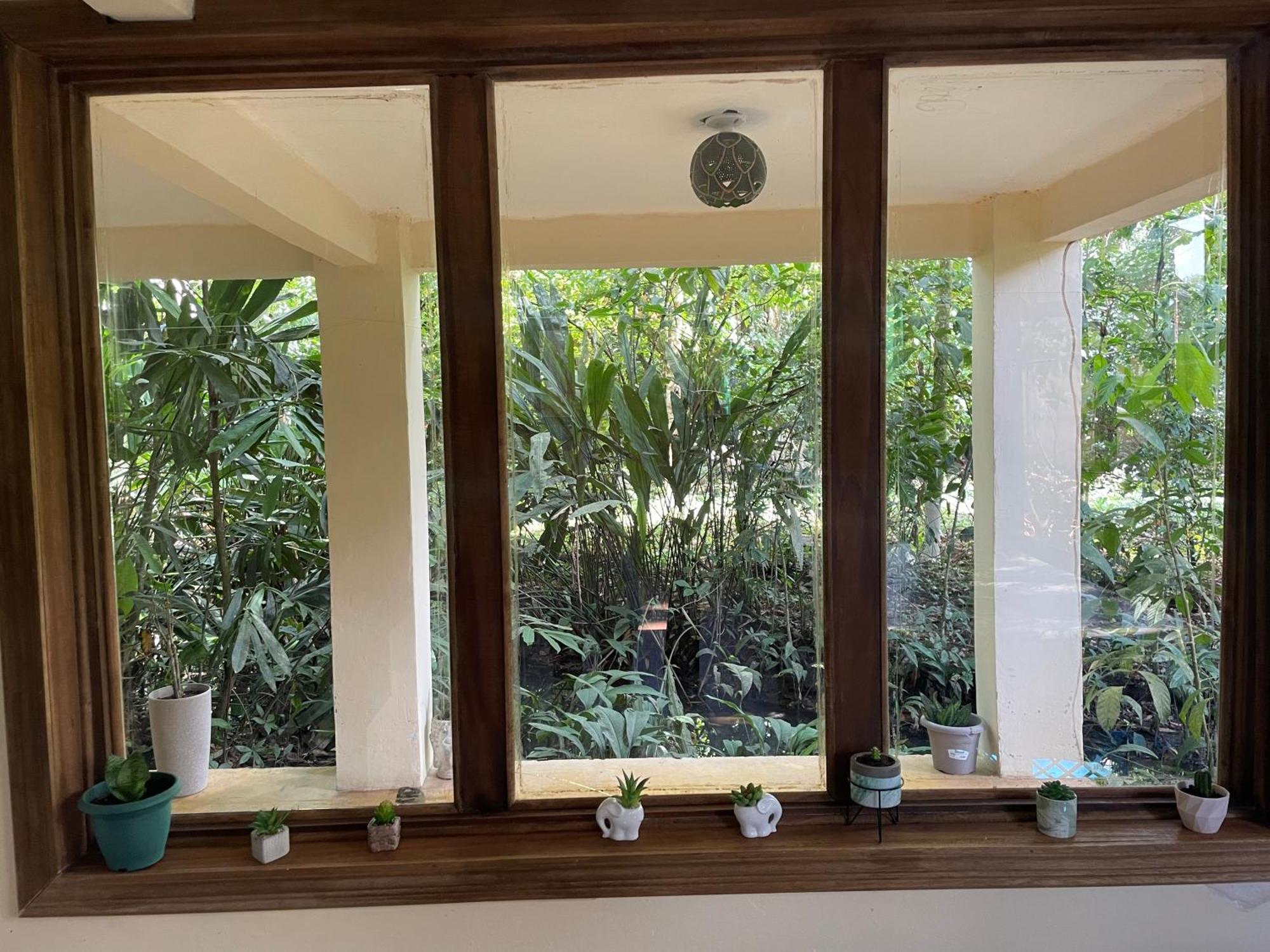 Casa Jaguar Tortuguero 빌라 외부 사진