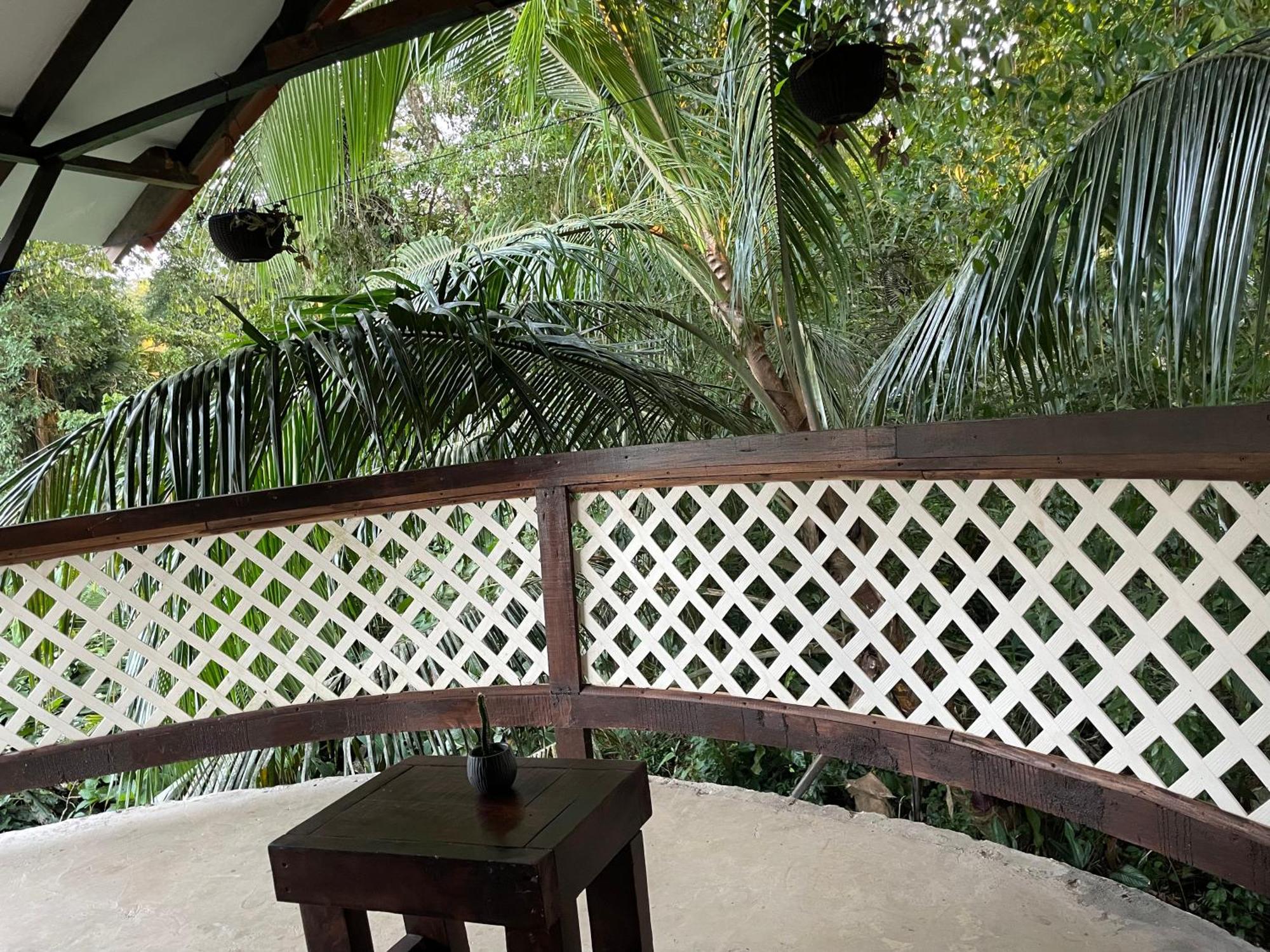 Casa Jaguar Tortuguero 빌라 외부 사진