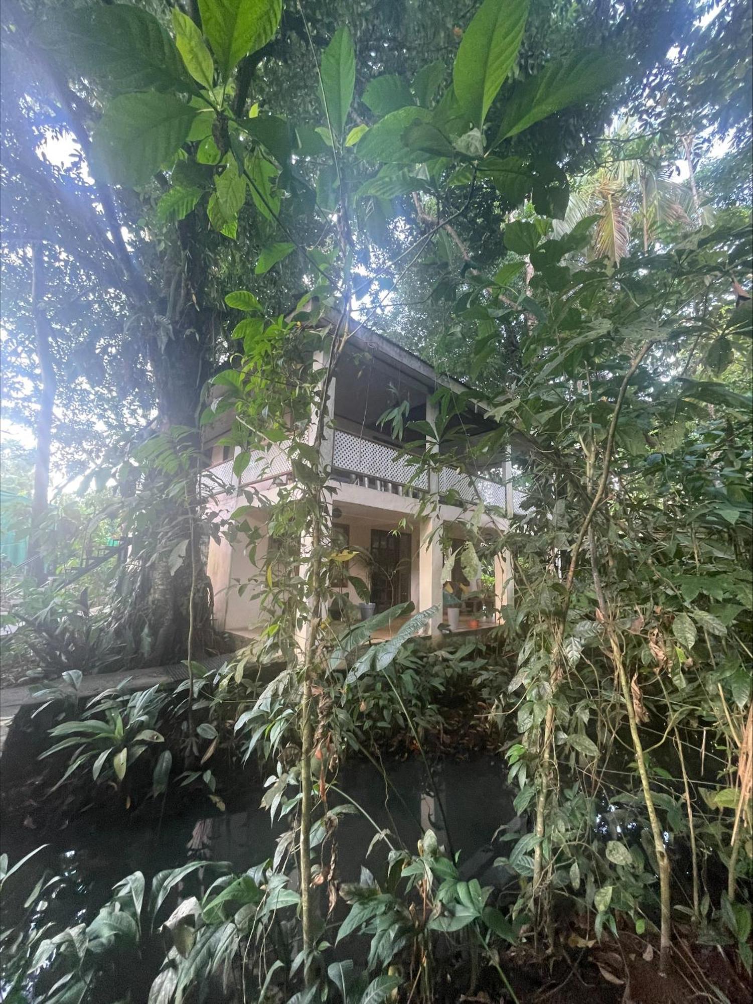 Casa Jaguar Tortuguero 빌라 외부 사진