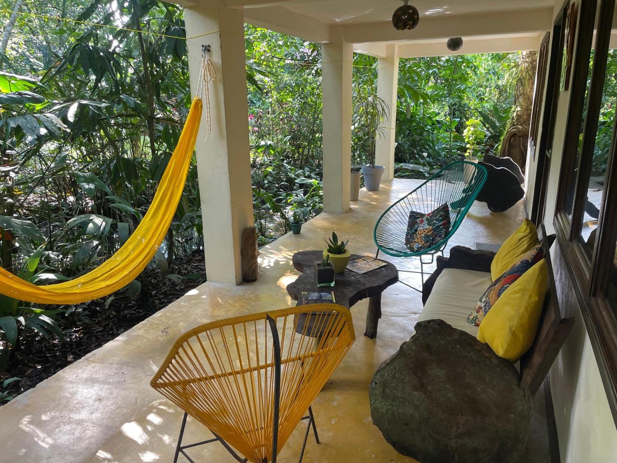 Casa Jaguar Tortuguero 빌라 외부 사진