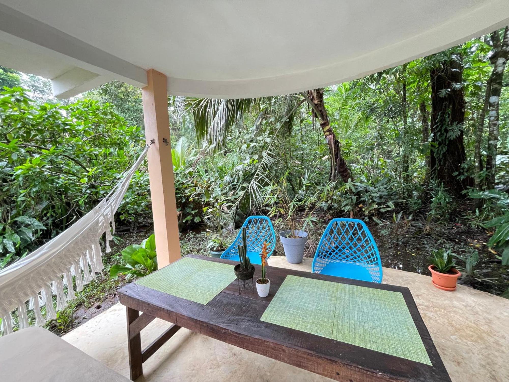 Casa Jaguar Tortuguero 빌라 외부 사진