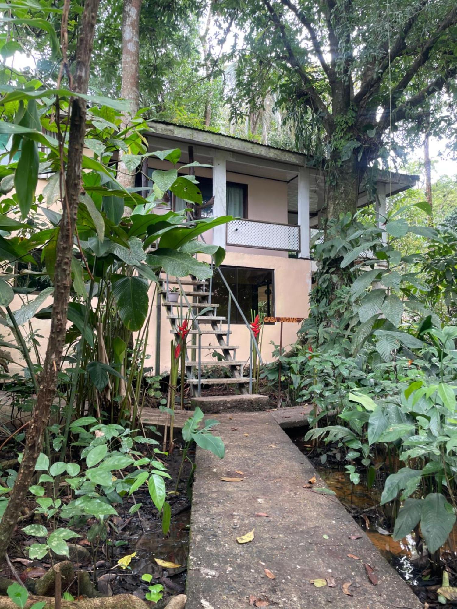 Casa Jaguar Tortuguero 빌라 외부 사진