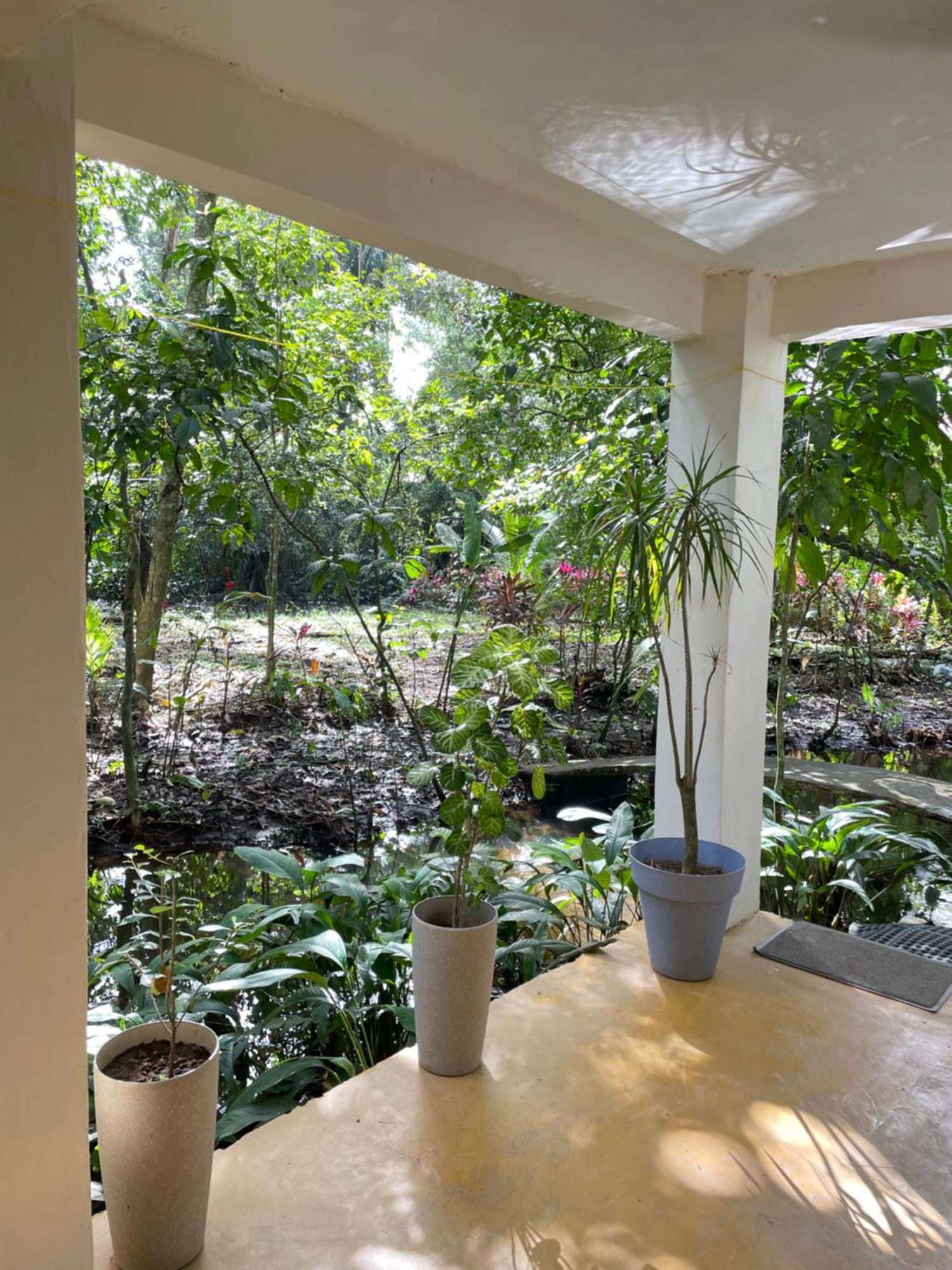 Casa Jaguar Tortuguero 빌라 외부 사진